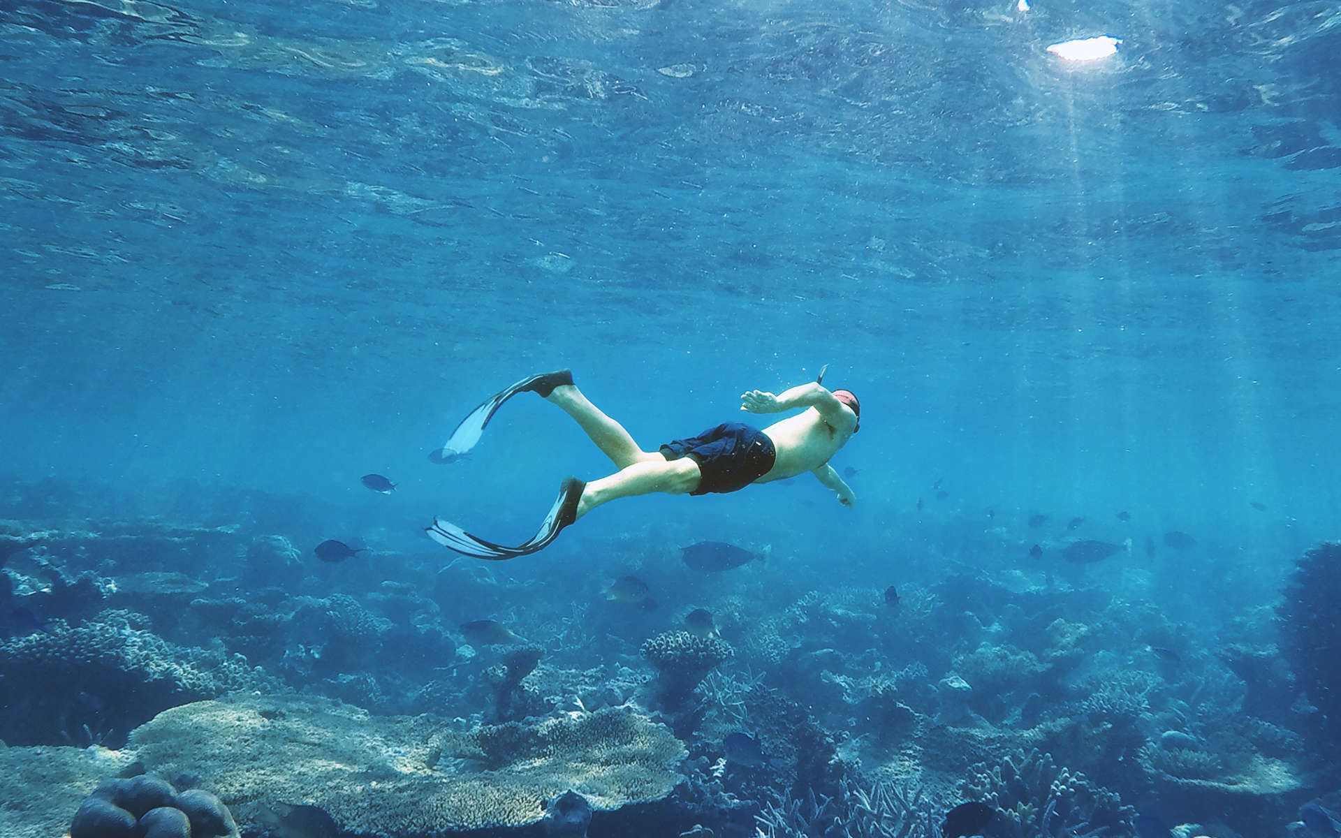 Na jadranje in snorklanje po skritih kotičkih