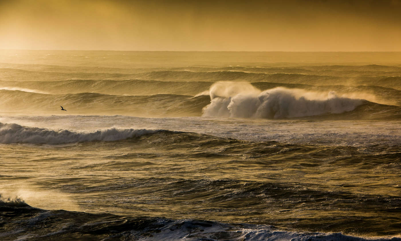 Adriatic winds