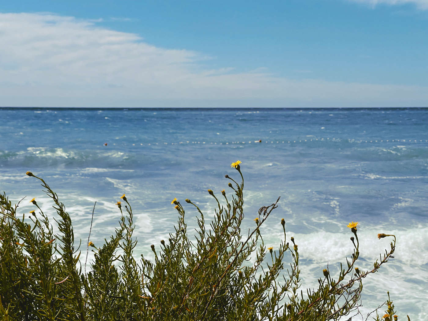 Adriatic winds