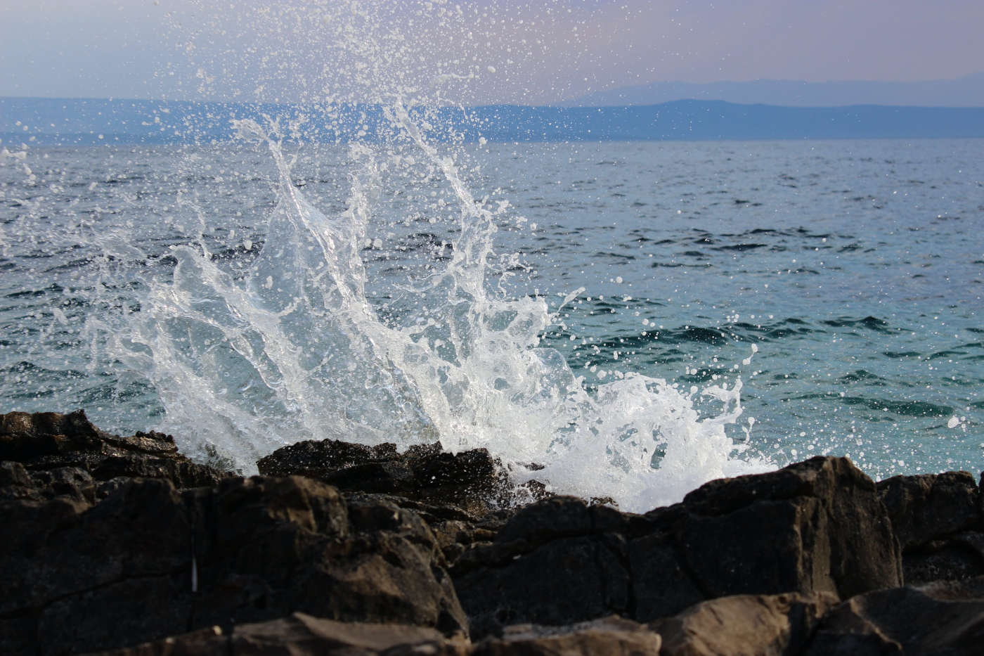 Adriatic winds