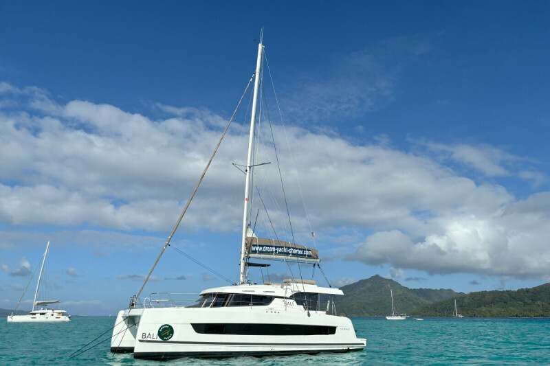 Bali Catspace ZEPHYR