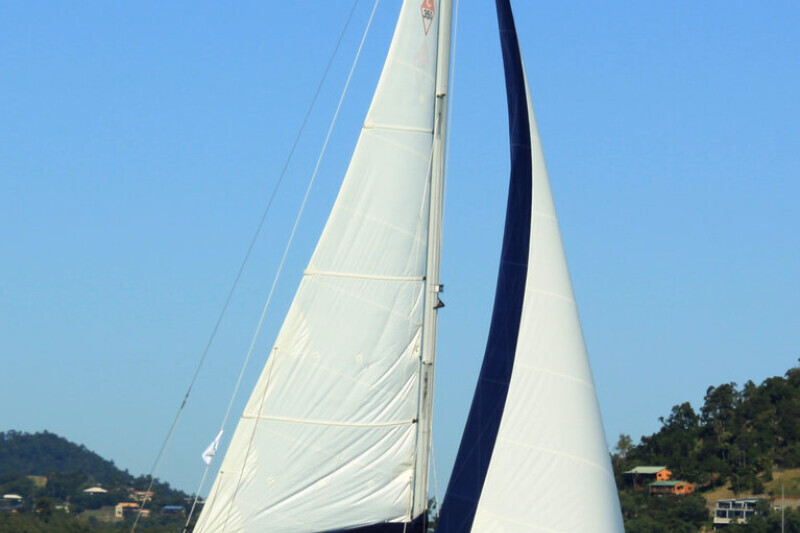 Catalina 350 WAZABI 