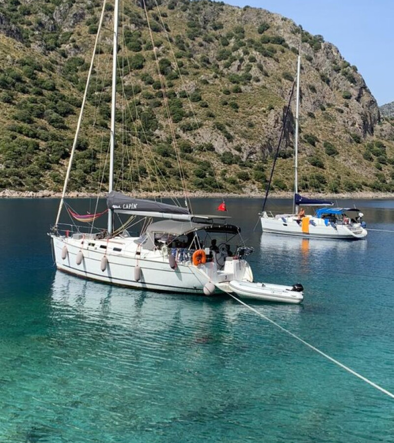 Cyclades 39 Lapin