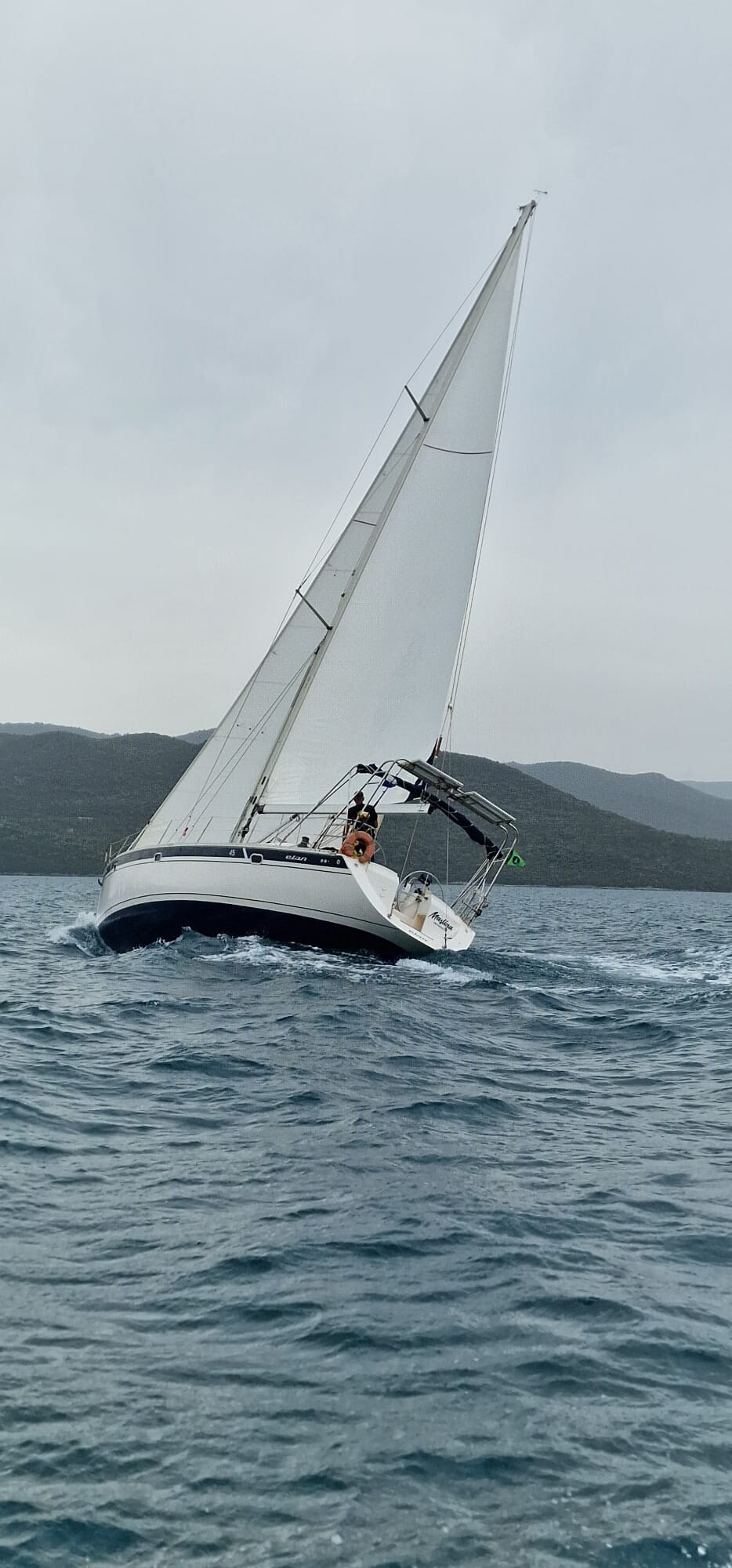 Elan 45 Maslina