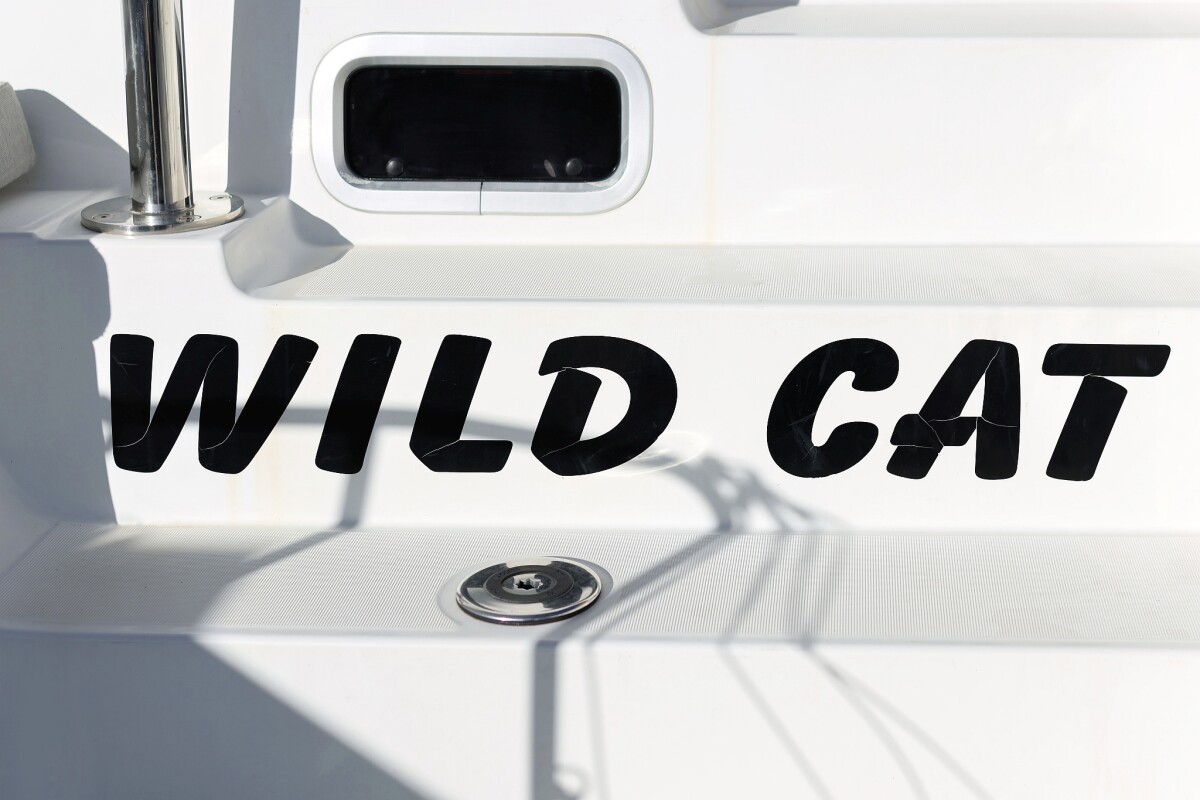 Lagoon 40 Wild Cat